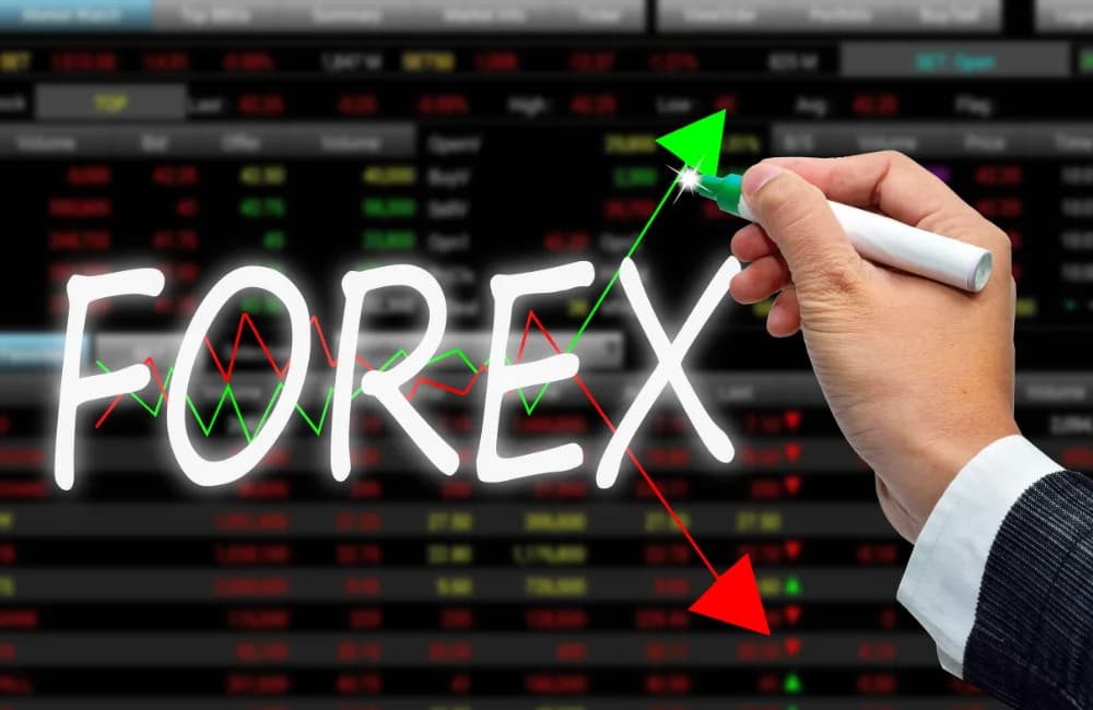 สอนเทรด Forex สำหรับเทรดเดอร์มือใหม่ เริ่มต้นได้ง่าย ๆ